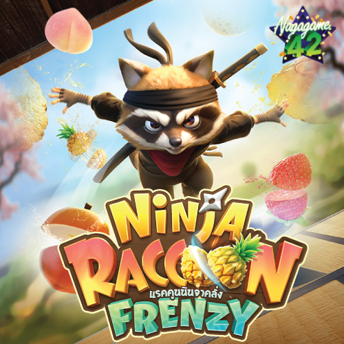 Ninja-Raccoon-Frenzy