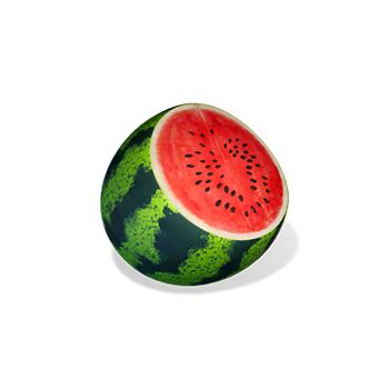 Ninja Raccoon Frenzy watermelon symbol