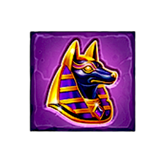 Pharaoh Treasure dog