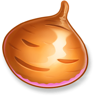 Rujak Bonanza onion